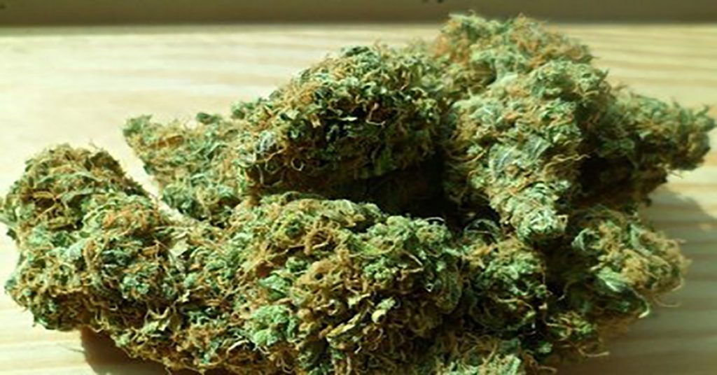 Dried cannabis flower