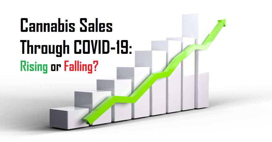 Cannabis Sales Through COVID-19