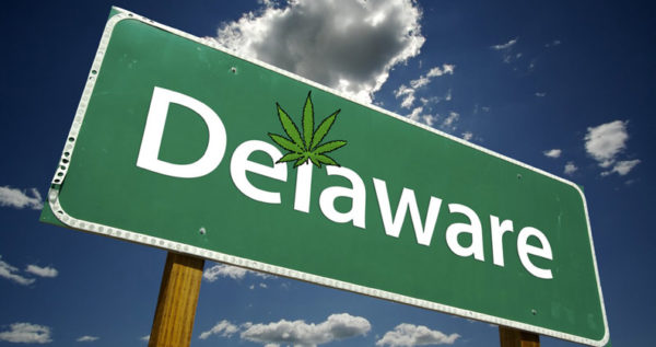 Delaware Cannabis Applications