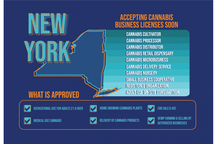 New York Cannabis Industry