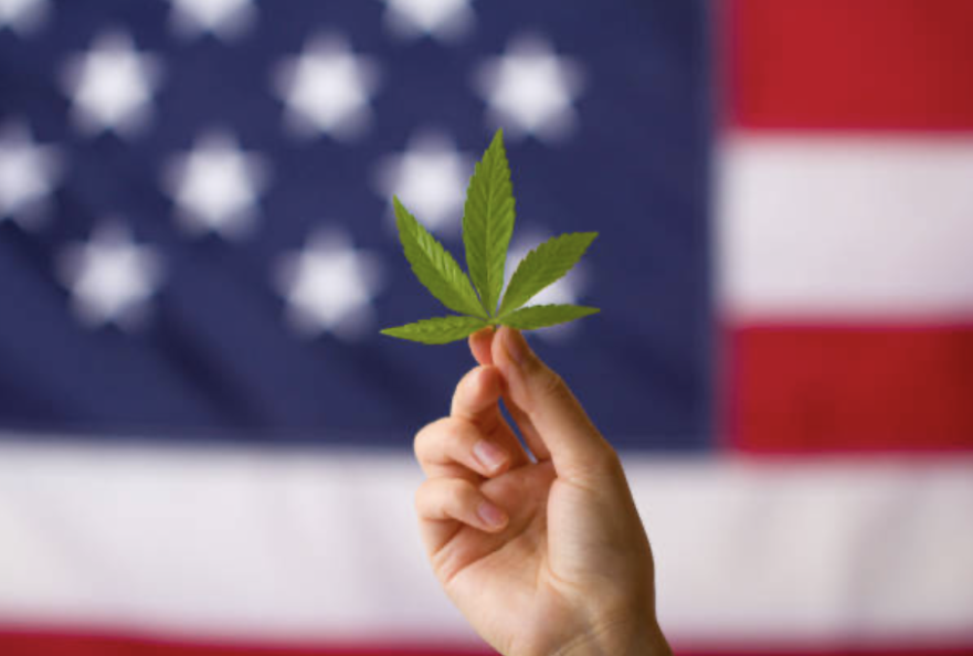 The History of Cannabis in Early America