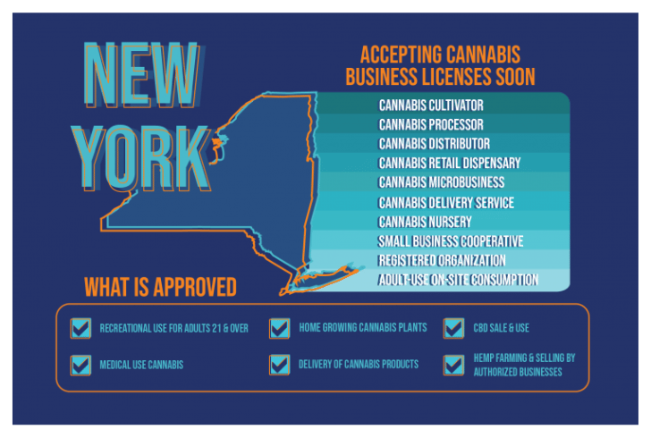 Opportunities in the New York Cannabis Market Blog